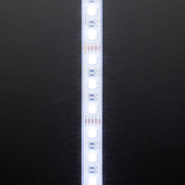 Analog RGBW LED Strip - RGB plus Cool White - 60 LED/m (~6000K) - 4m by Adafruit - The Pi Hut