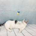 Bee Silk Cocoon Teaser Wand Cat Toy
