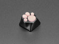 Black Aluminum Kitty Paw Keycap with Pink Silicone Toes by The Pi Hut - The Pi Hut
